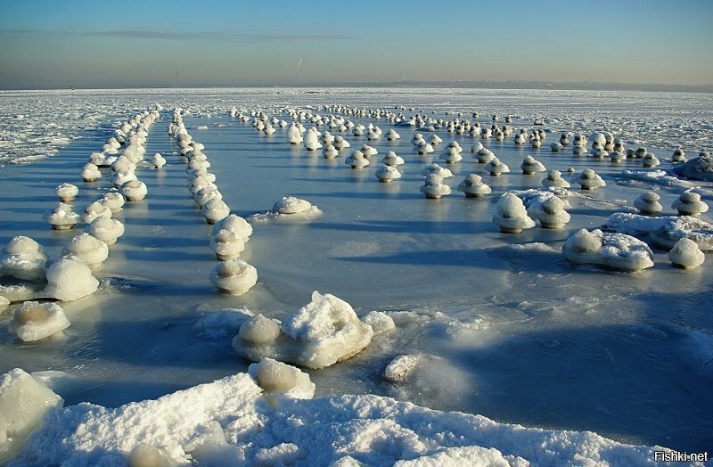 Таллинский залив