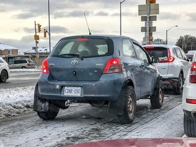 Автовсячина