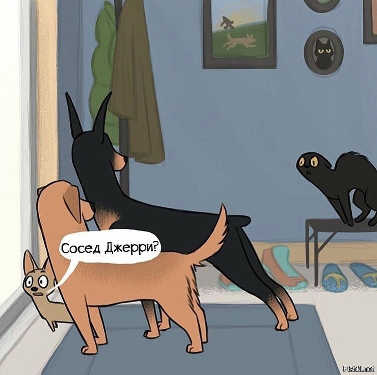 Солянка