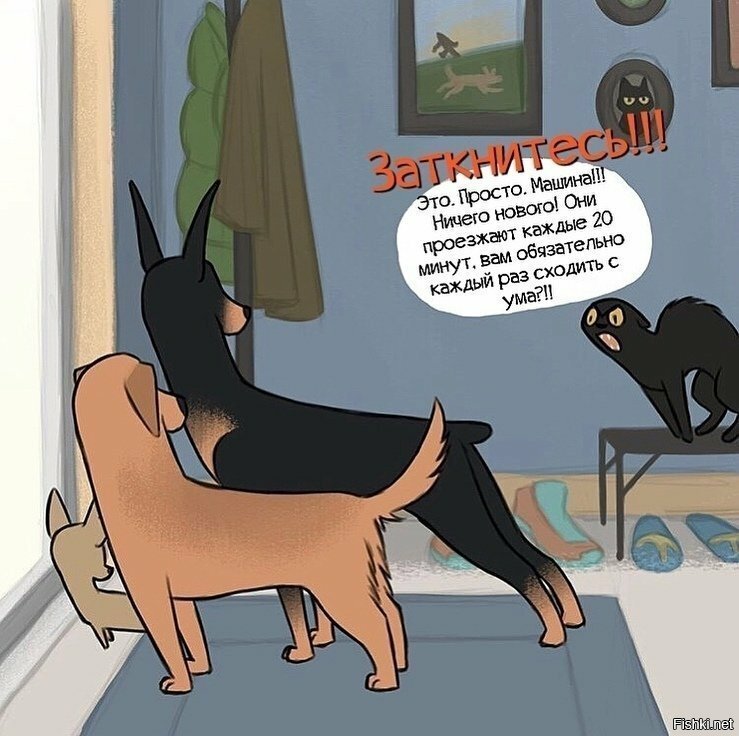 Солянка