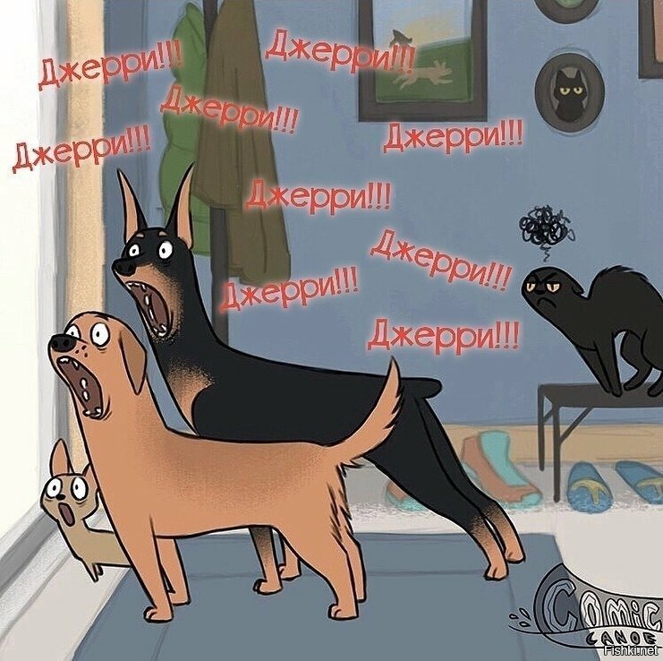Солянка