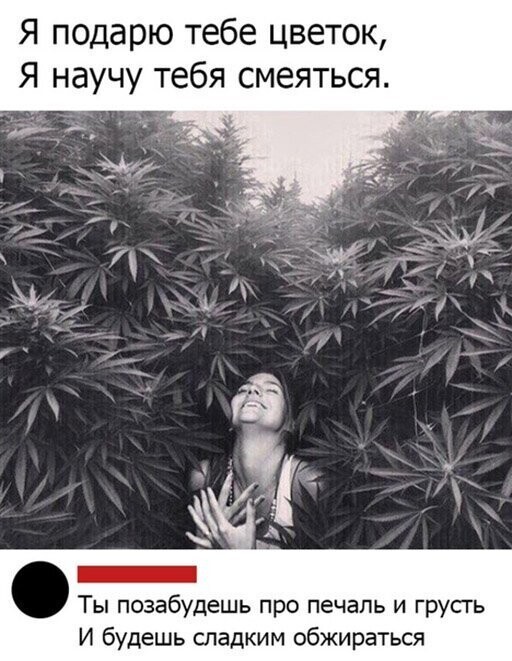 Прикольные и смешные картинки