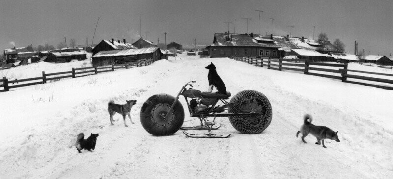 Собаки и снегоход. Соловки, Россия. Фото Пентти Саммаллахти, 1992