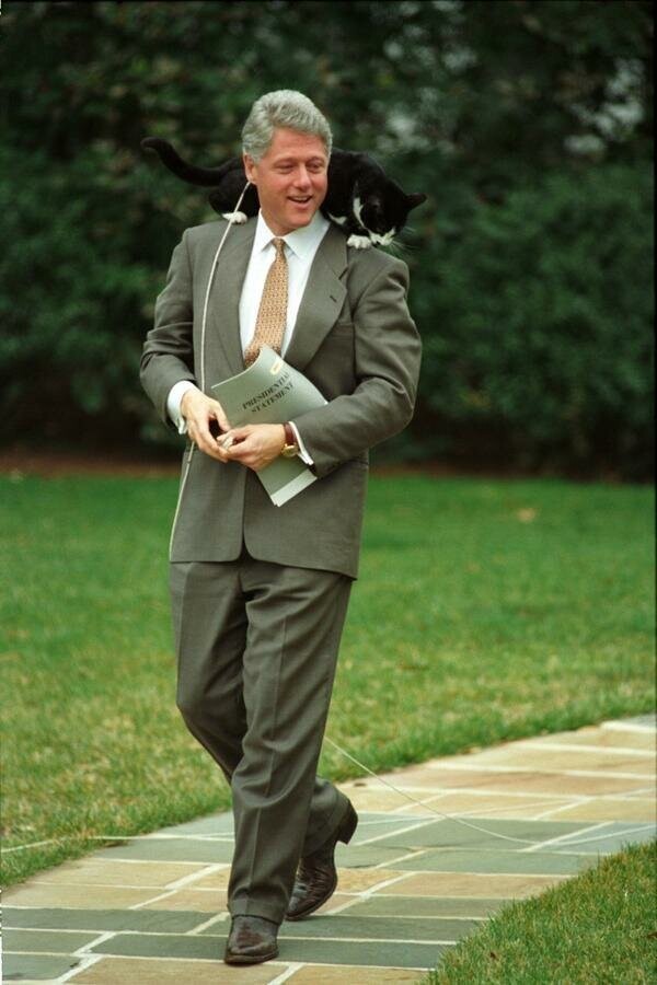 Вот кто натурально ездил у Билла Клинтона на шее - президентский кот Сокс, США, 7 марта 1995 года.
