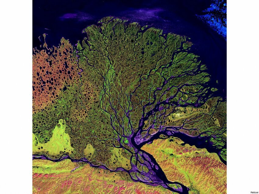 Космический снимок дельты реки Лена