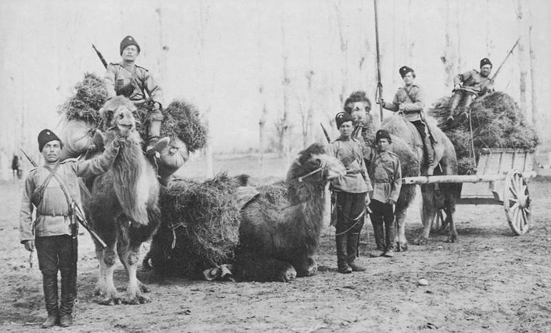 Оренбургские казаки с верблюдами., 2-я половина XIX века.