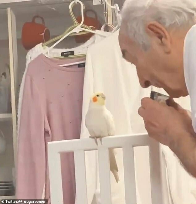 "Не вздумай приносить эту птицу!" - говорил дедушка