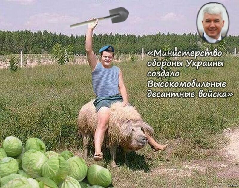 БОяны про Украину