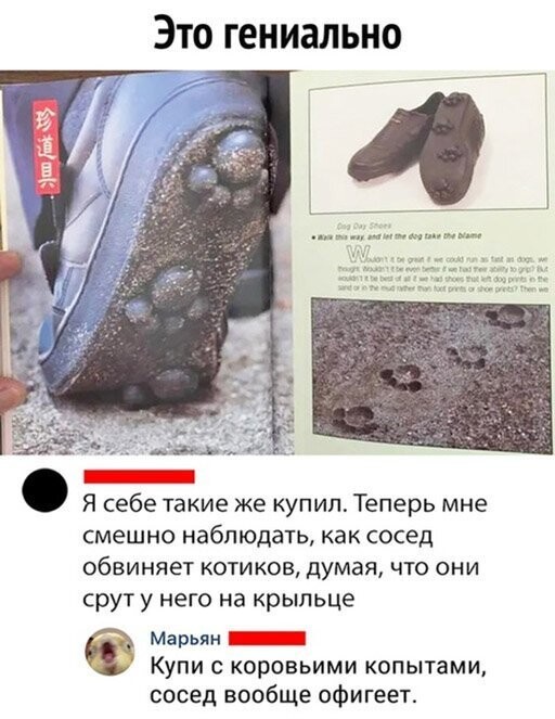 Прикольные и смешные картинки