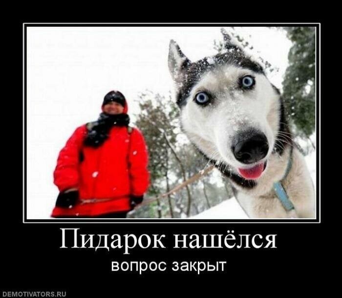 Демотиваторы