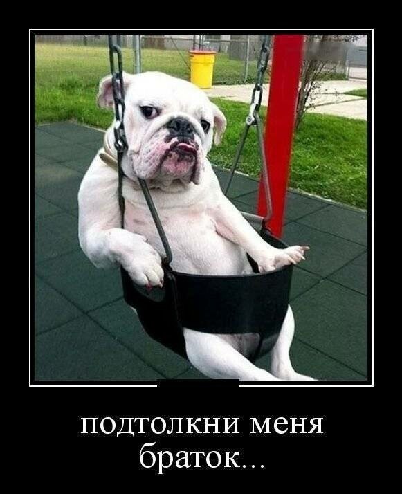 Демотиваторы