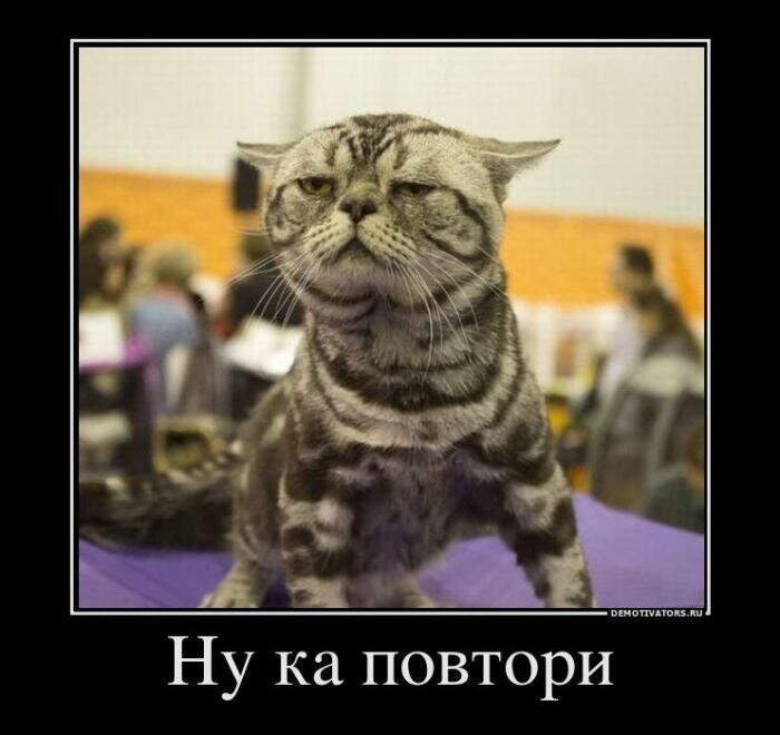 Демотиваторы