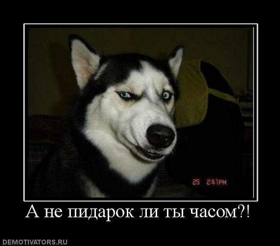 Демотиваторы