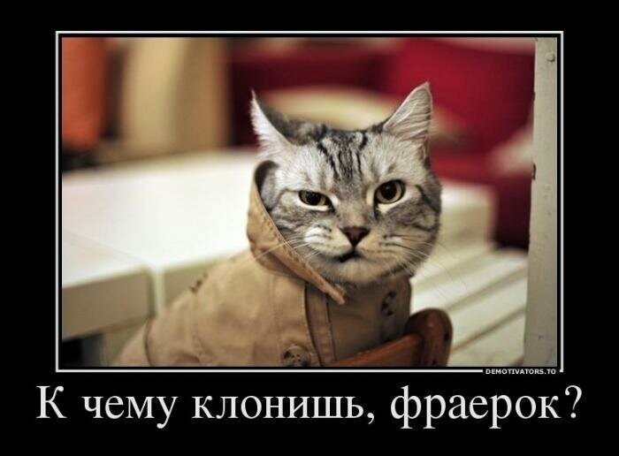Демотиваторы