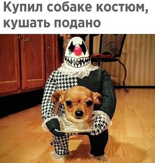 Прикольные и смешные картинки