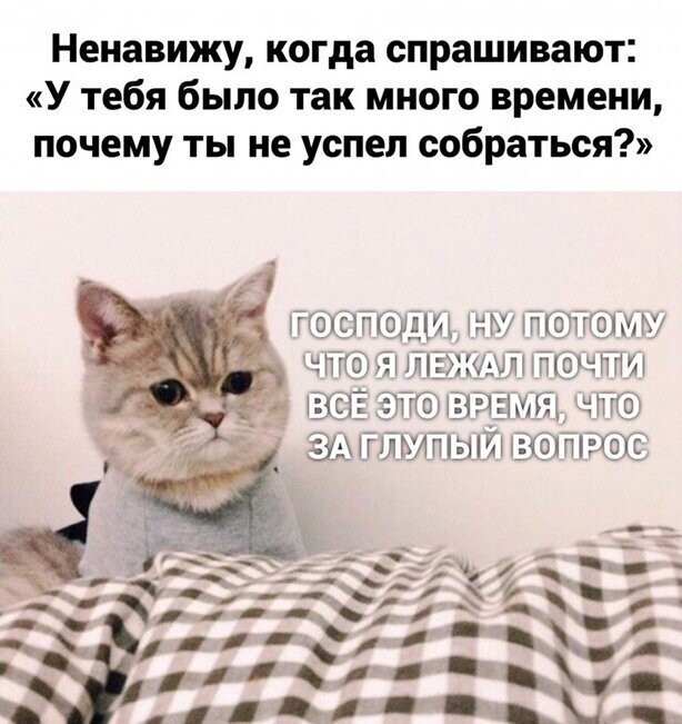 Прикольные и смешные картинки