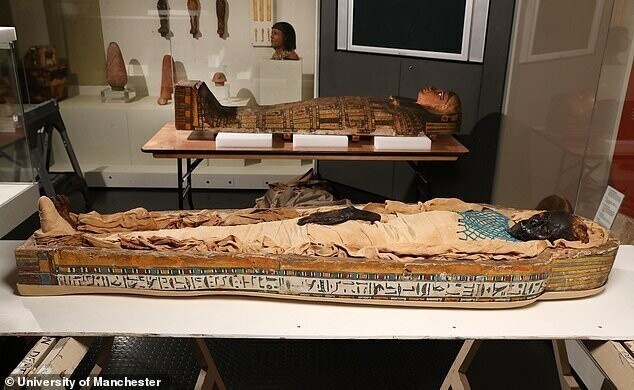 Ударили в спину: ученые выяснили причину смерти египтянки, жившей 2600 лет назад