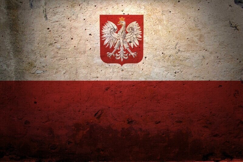 Россия должна заплатить за ущерб, нанесенный в годы ВОВ: нелепость польских обвинений зашкаливает