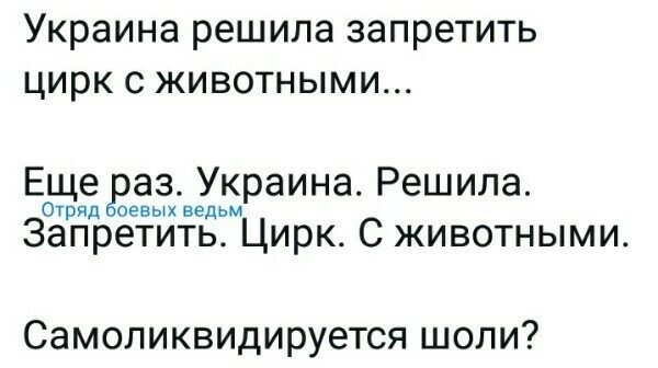 Политические картинки