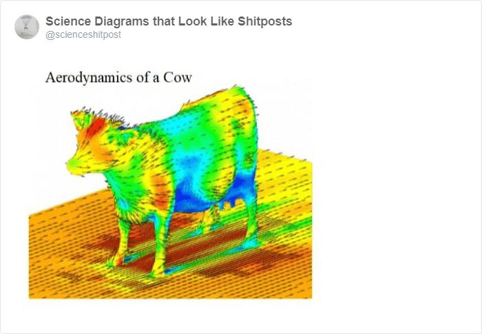 «Аэродинамика коровы»