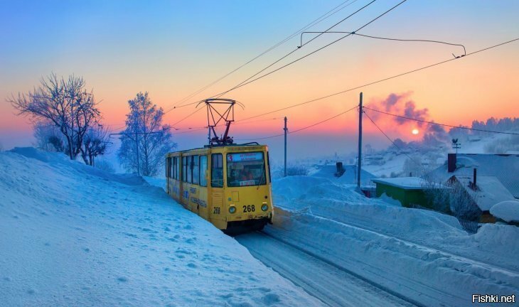 Солянка от 01.02.2020