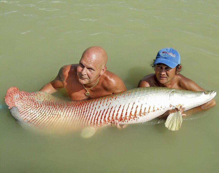 Рыбы в тайланде