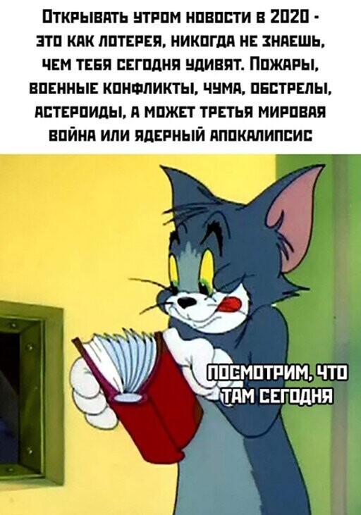 Прикольные и смешные картинки