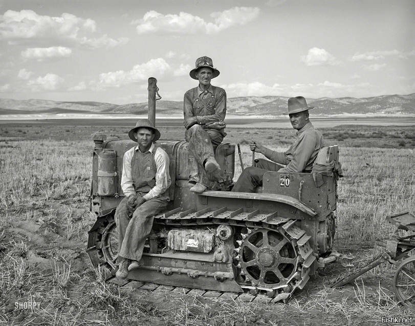 Трактористы в поле