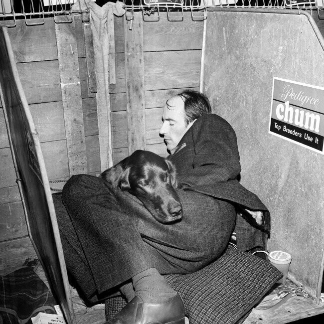 7 февраля 1970 года. Великобритания. Выставка собак. В ожидании решения судей.