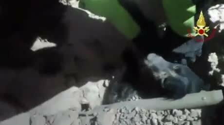 Пёселя откопали после землетрясения в Италии, проходит реабилитацию 