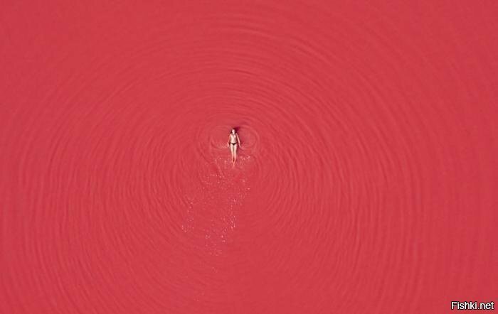 Розовое озеро Торревьехи, также известное как Лагуна–Салада–де–Торревьеха, ил...