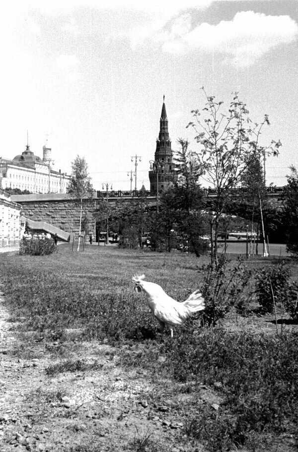 Утро в Москве. 1960-е годы 