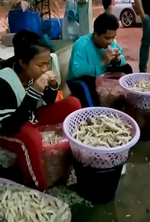 На тайской фабрике рабочие обрабатывали курицу зубами