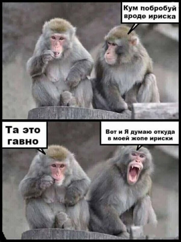 Картинки с надписями