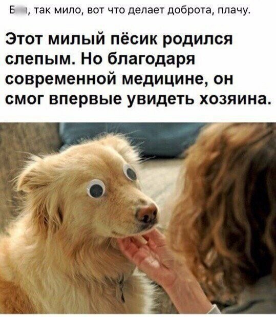 Картинки с надписями