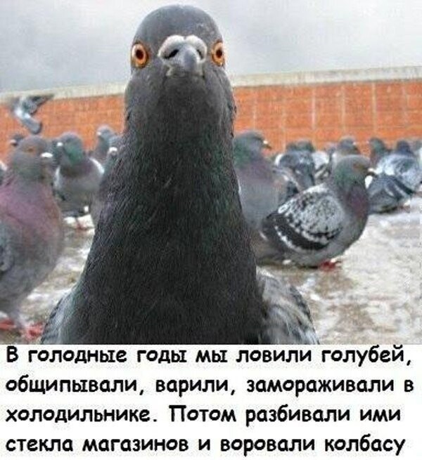 Картинки с надписями