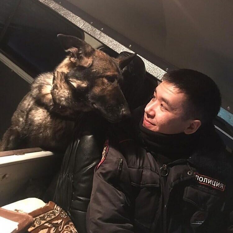 Ну а кроме историй из жизни дежурной части в Твиттере, МВД Якутии показывает свои будни в Инстаграме