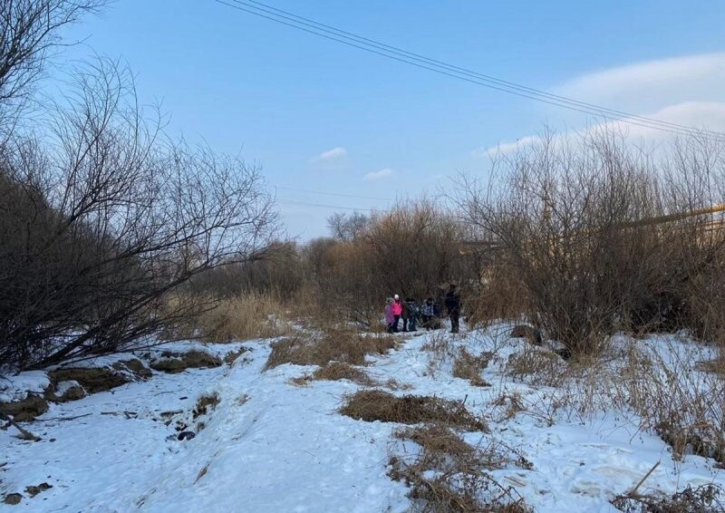 Вмерзший в ручей труп нашли дети в Хабаровске