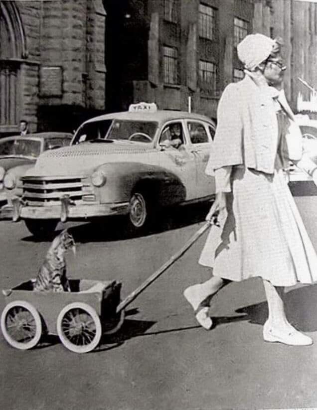 Мисс Доринда Форд и её Биби. Гарлем, 1956. 