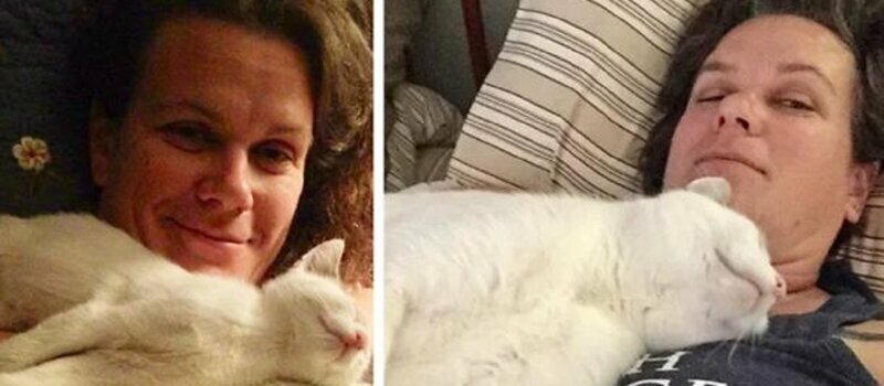 До и после: трогательные фото кошек, обретших дом