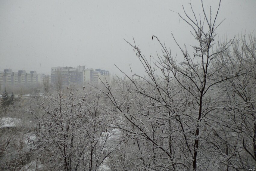 Сегодняшний вид с моего балкона