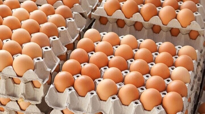 10. Производство яиц в России в 2016 году составило 43,5 миллиарда штук