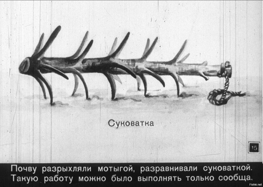 Солянка от 06.02.2020