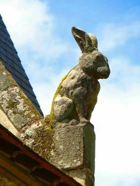 Кролик-"горгулья", Forteresse de Largoët, Морбиан, Франция