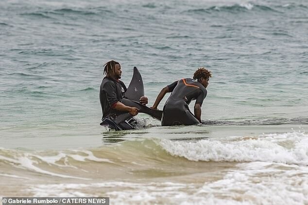 Отдыхающие на пляже помогли дельфину вернуться в море, но это его не спасло