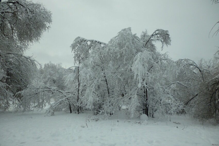 Зимняя красота