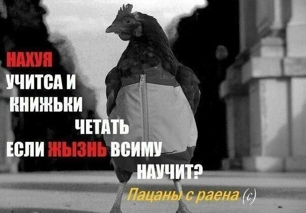 Немного легкой деградации