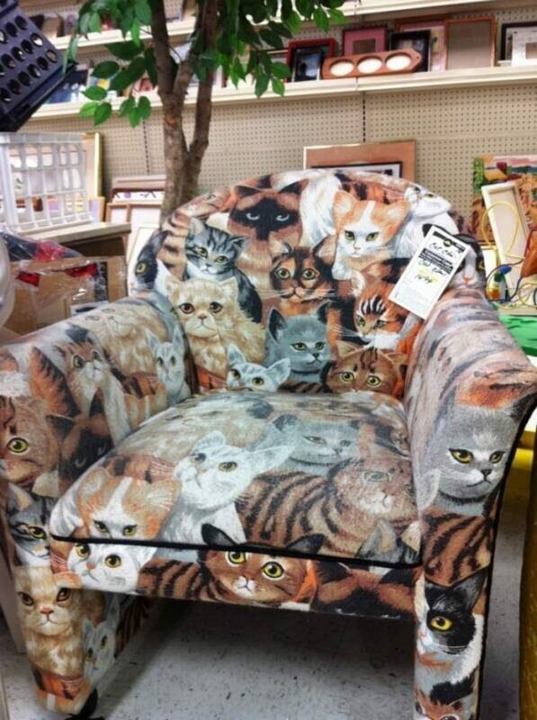 Очень милое кресло для одинокой, независимой дамы с аллергией на кошачью шерсть.