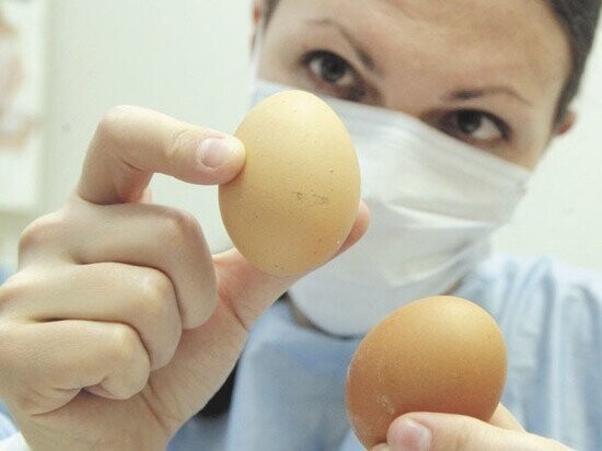Яйца способны поднять уровень холестерина