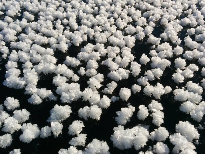 Ледяные "цветы", Ладожское озеро